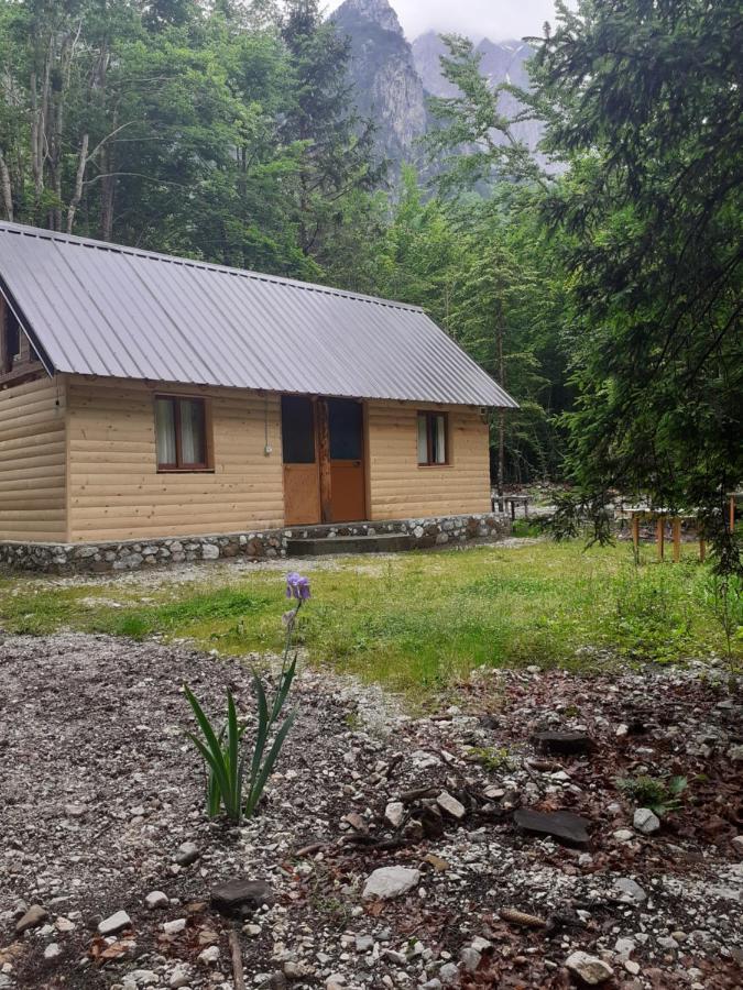 Guesthouse Dioni Valbona Exteriör bild