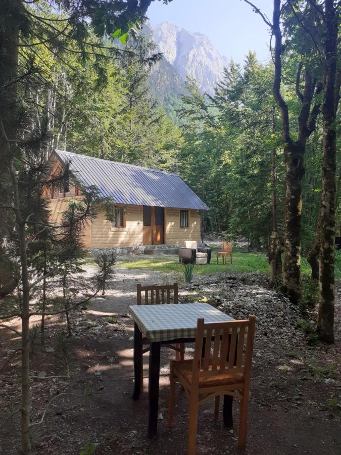 Guesthouse Dioni Valbona Exteriör bild