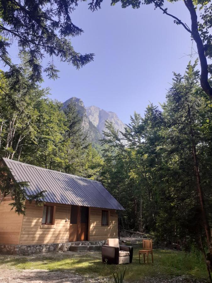 Guesthouse Dioni Valbona Exteriör bild