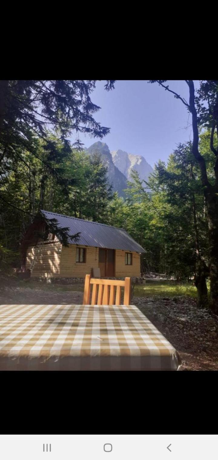 Guesthouse Dioni Valbona Exteriör bild